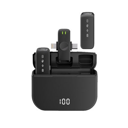 BIG riz Wireless Mic